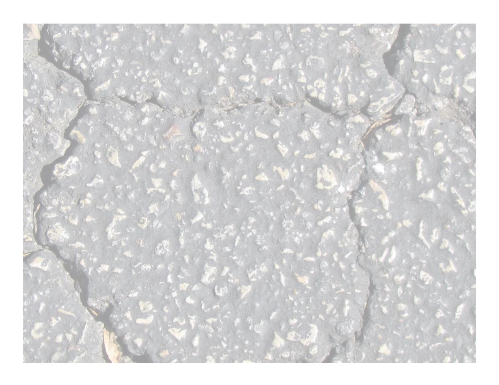 coaltaropacity | Coal Tar Free America